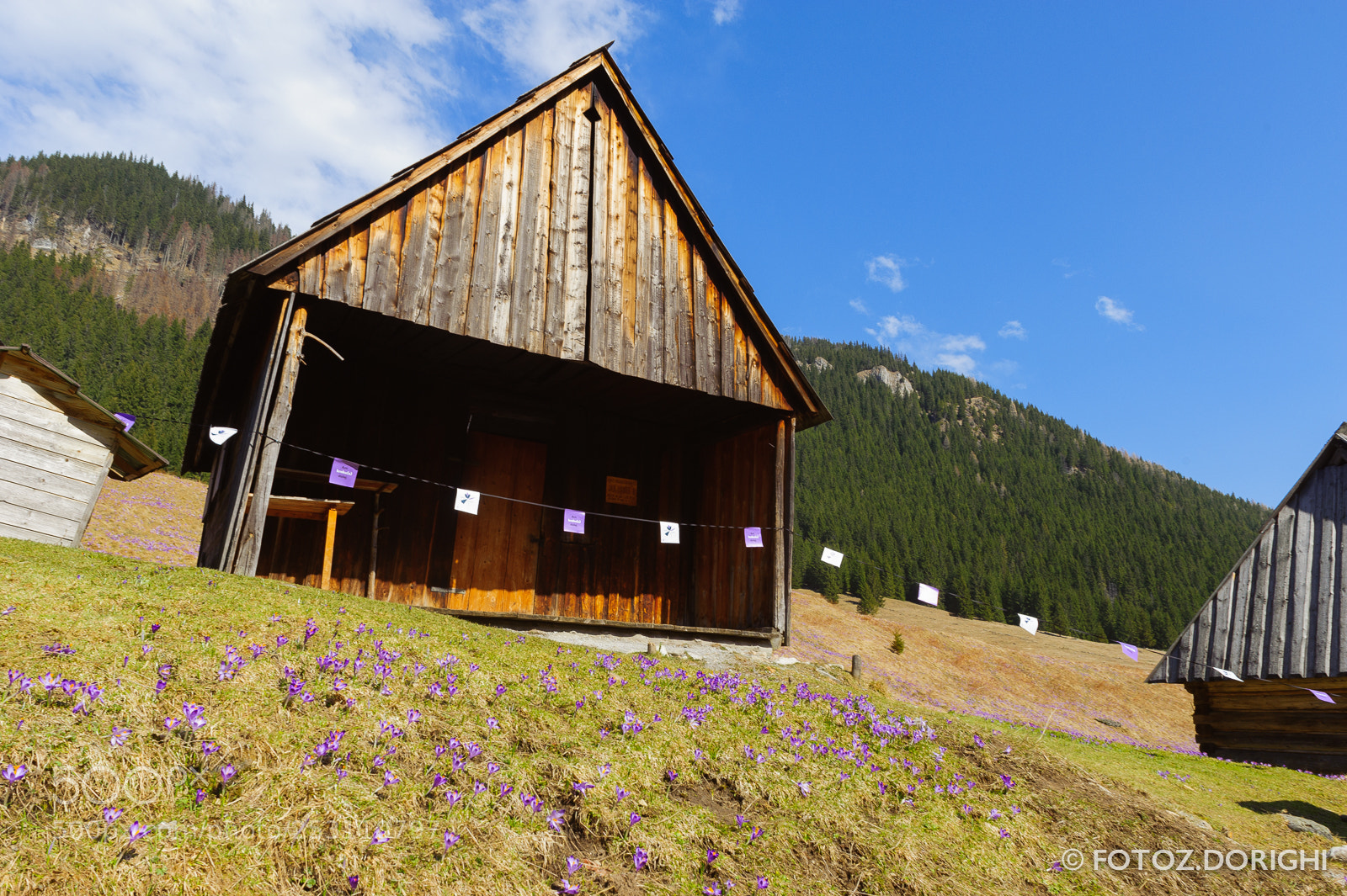 Nikon D700 sample photo. Hut, dolina chocho owska photography
