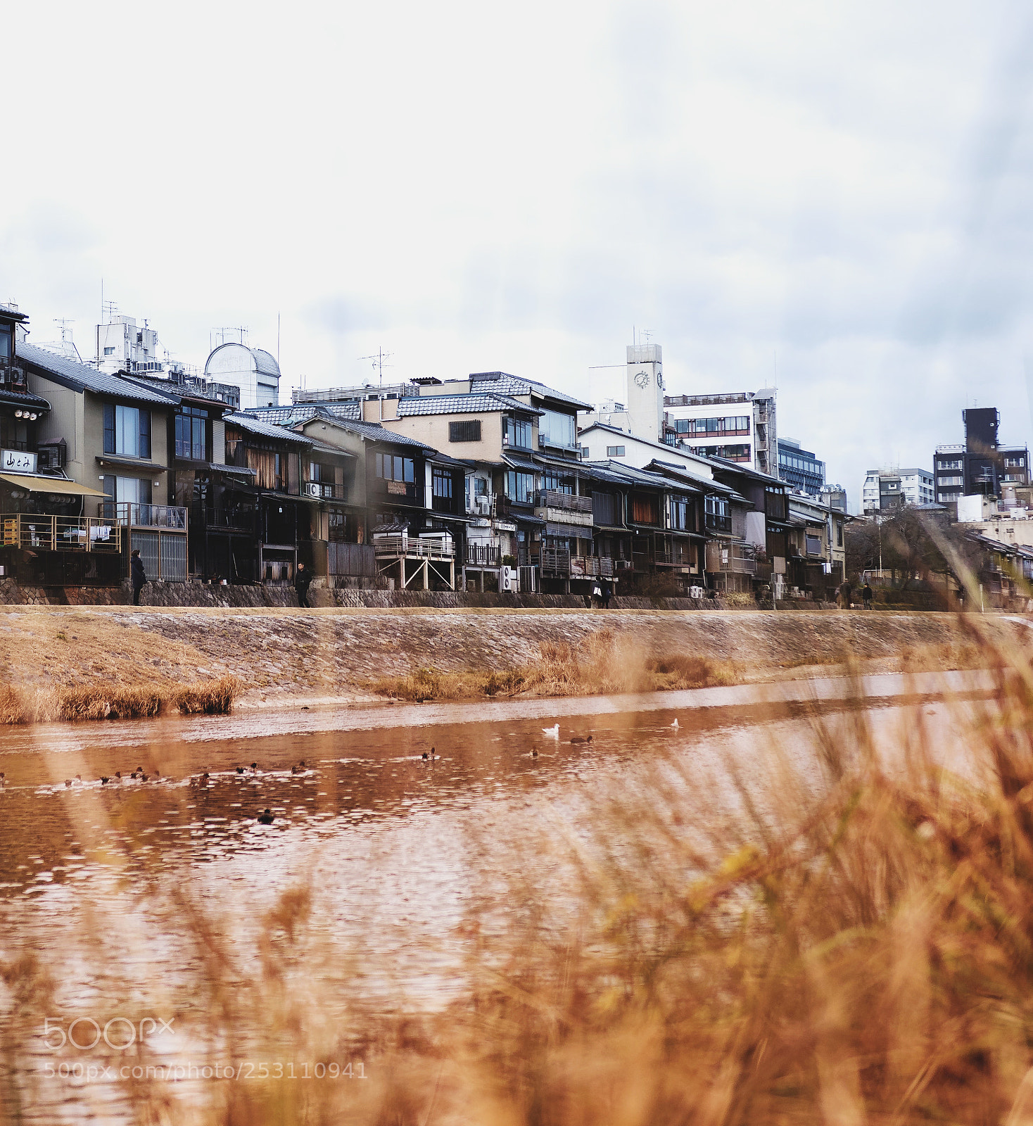 Canon EOS 80D sample photo. Kyoto, japan photography