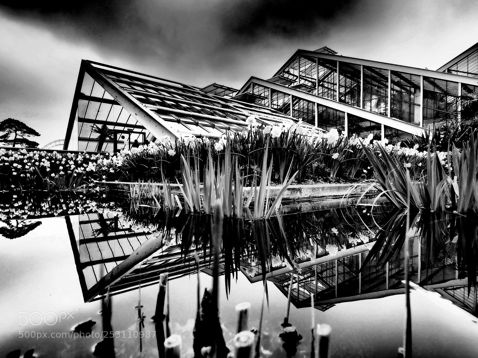 Olympus OM-D E-M5 II sample photo. Kew gardens photography