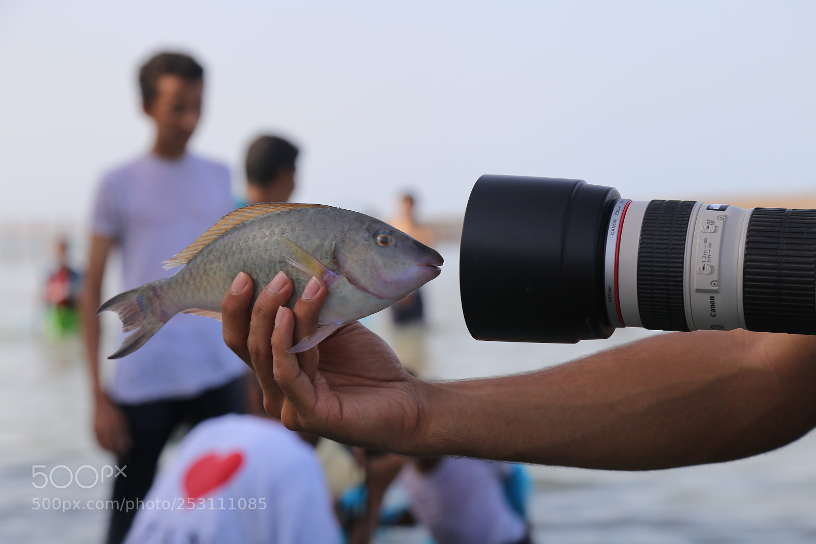 Canon EOS 6D + Canon EF 24-105mm F4L IS USM sample photo. Untitled photography