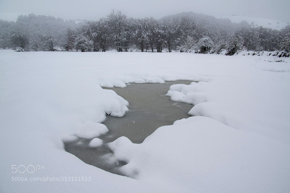 Pentax K-3 sample photo. Hotz photography