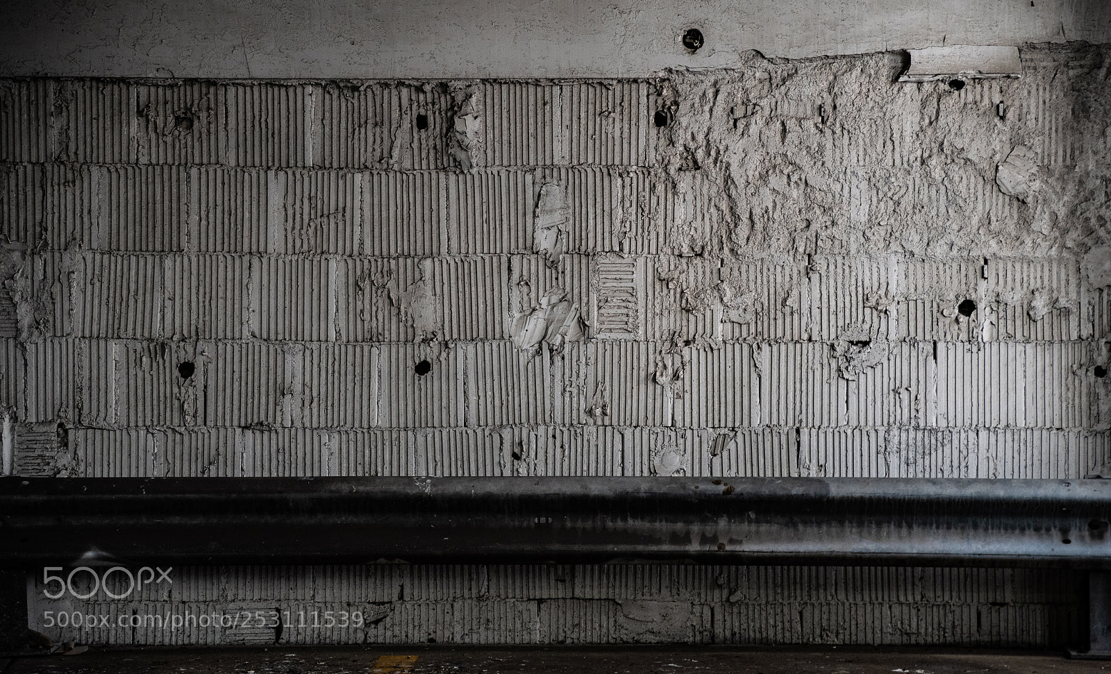 Nikon D500 sample photo. Texture photography