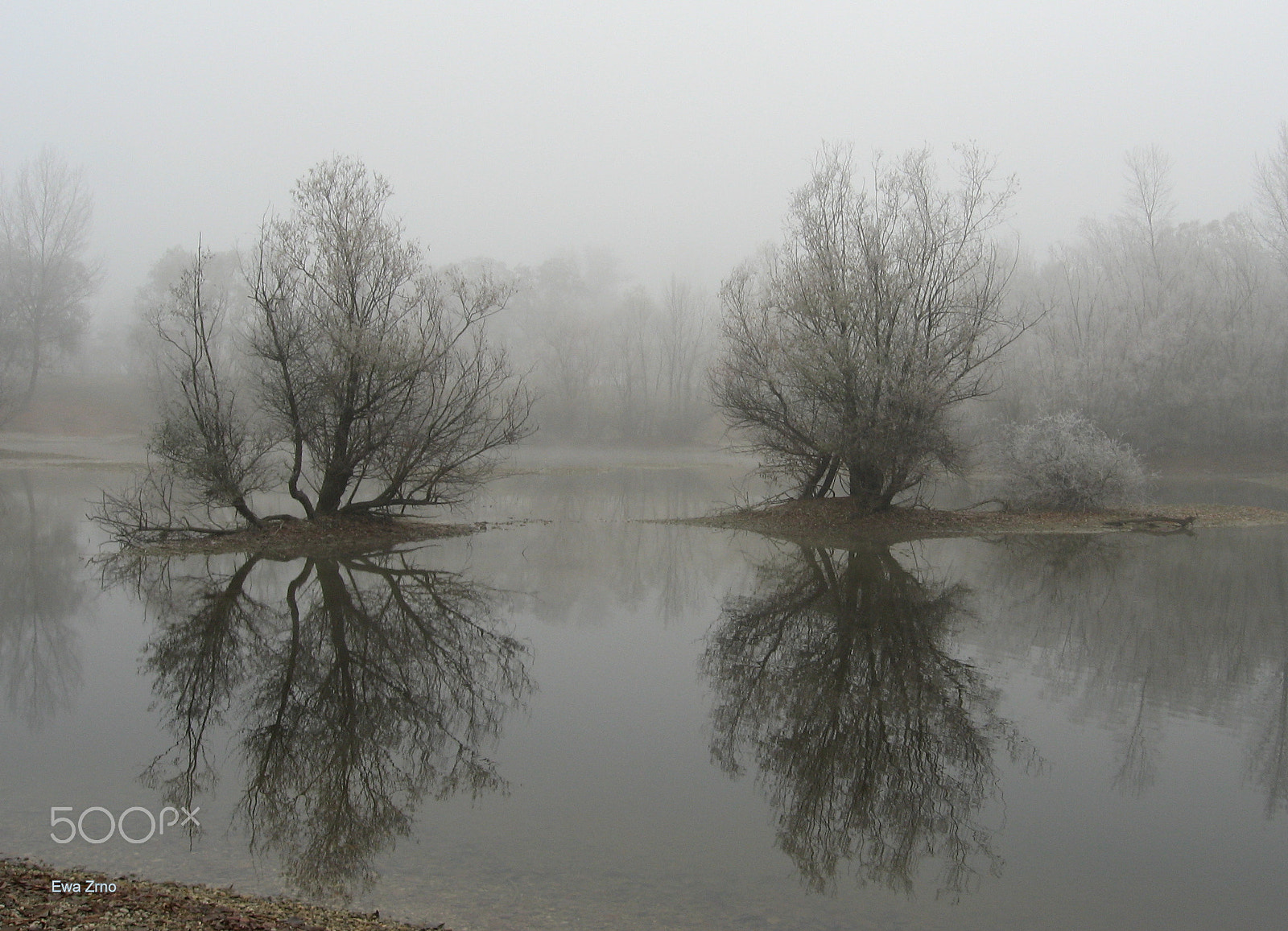 Canon POWERSHOT A540 sample photo. Mist 2 photography