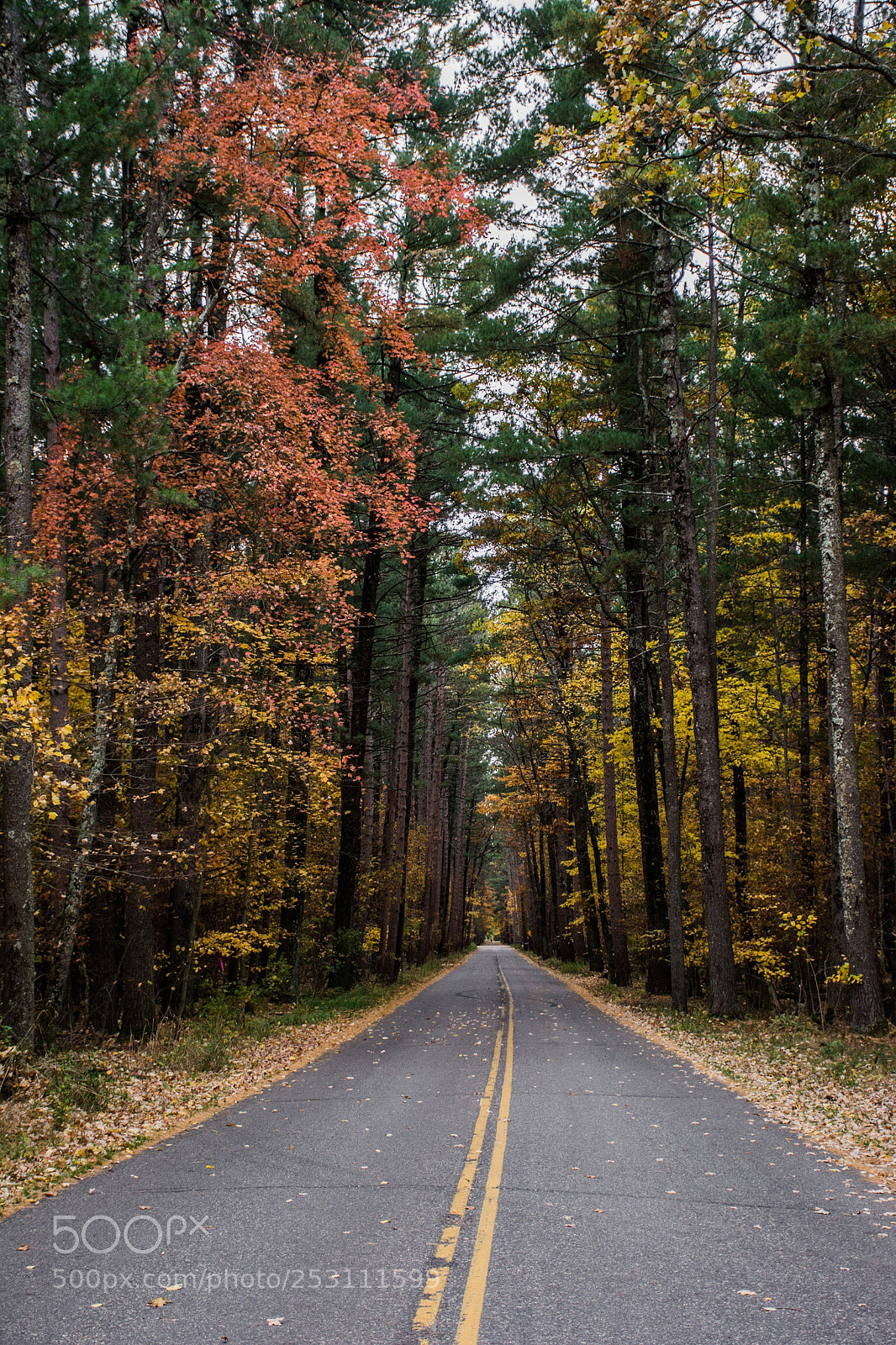 Nikon D7100 sample photo. Endless road photography