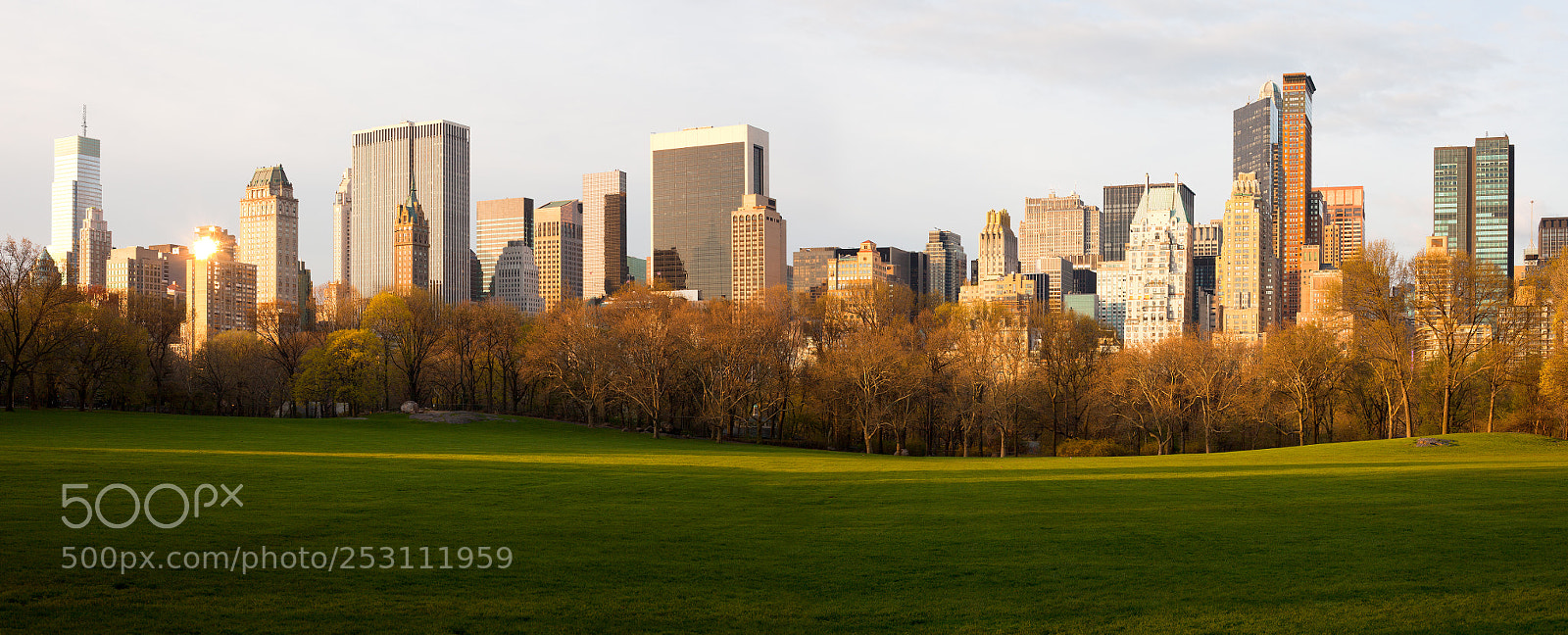 Canon EOS 5D Mark II sample photo. Sheep meadow at central photography