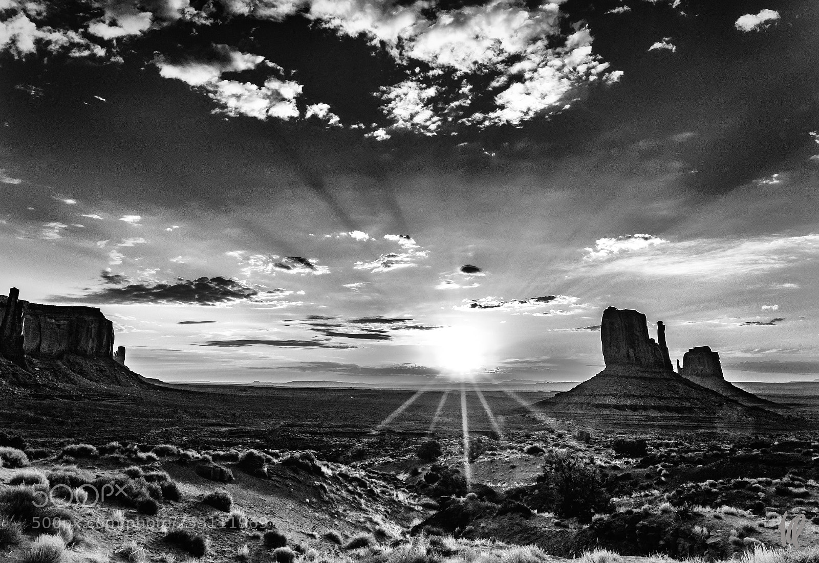 Nikon D5 sample photo. Monument valley b w photography