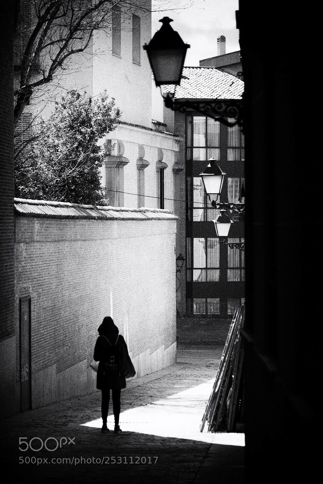Nikon D600 sample photo. Standing at the line photography
