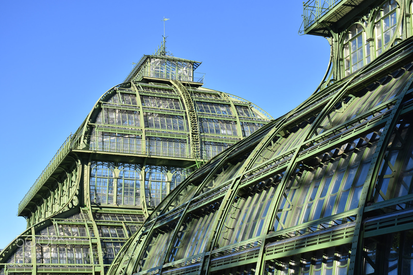 Nikon D7200 sample photo. Glasshouse photography