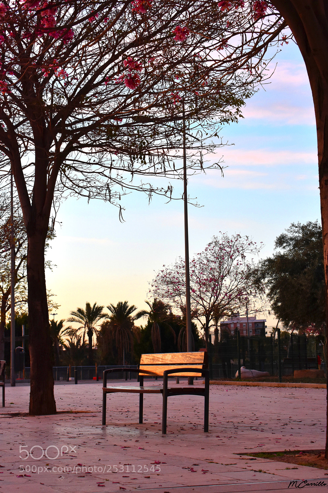 Nikon D3400 sample photo. Lonely bench photography