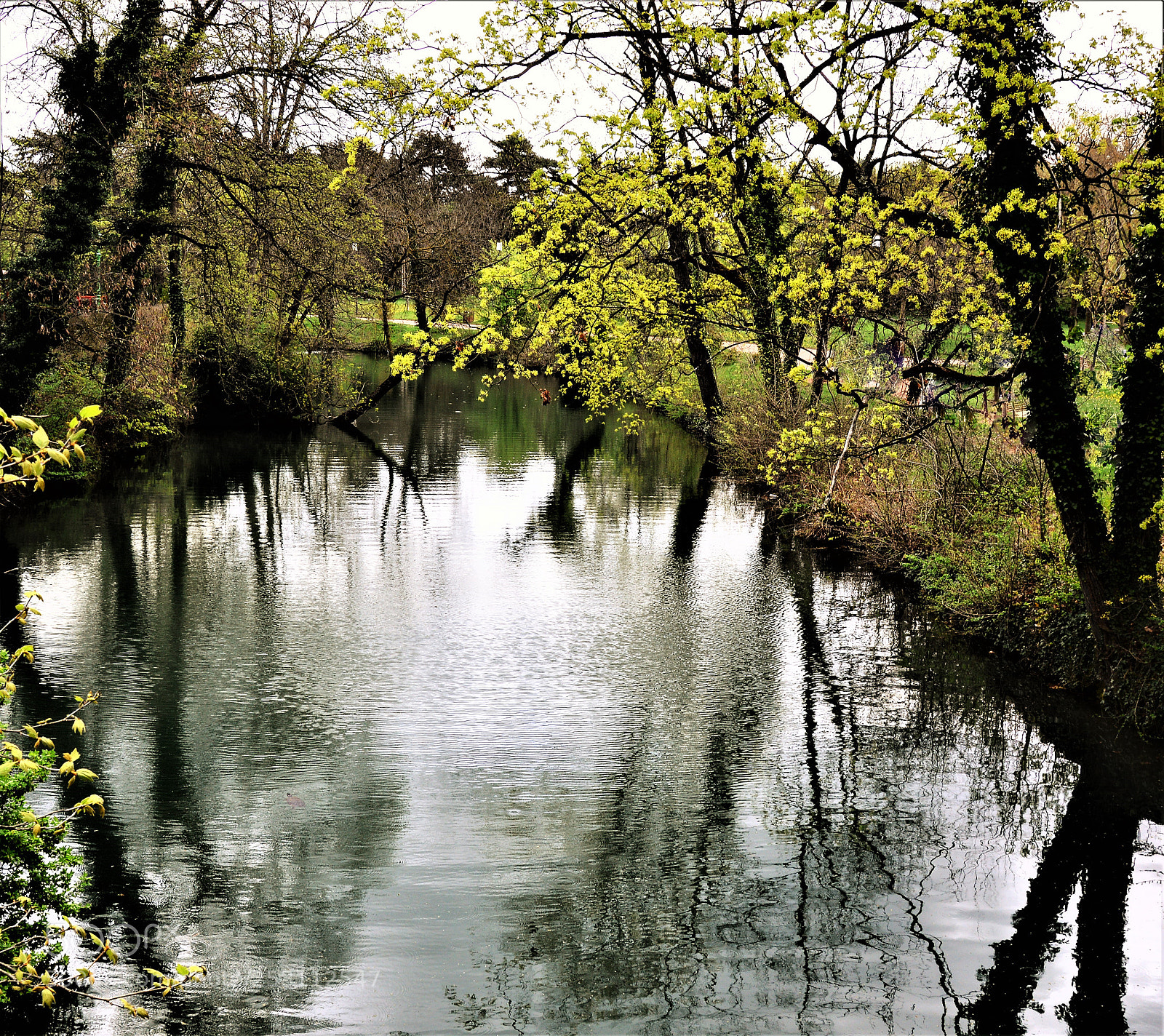 Nikon D3200 sample photo. Untitled photography