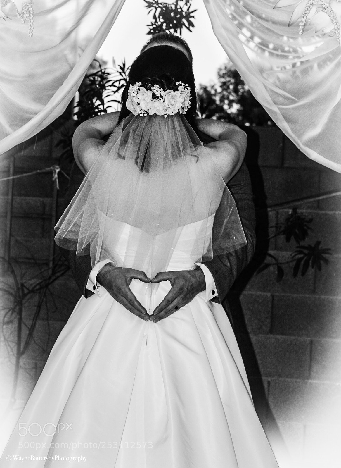 Nikon D7000 sample photo. Untitled photography