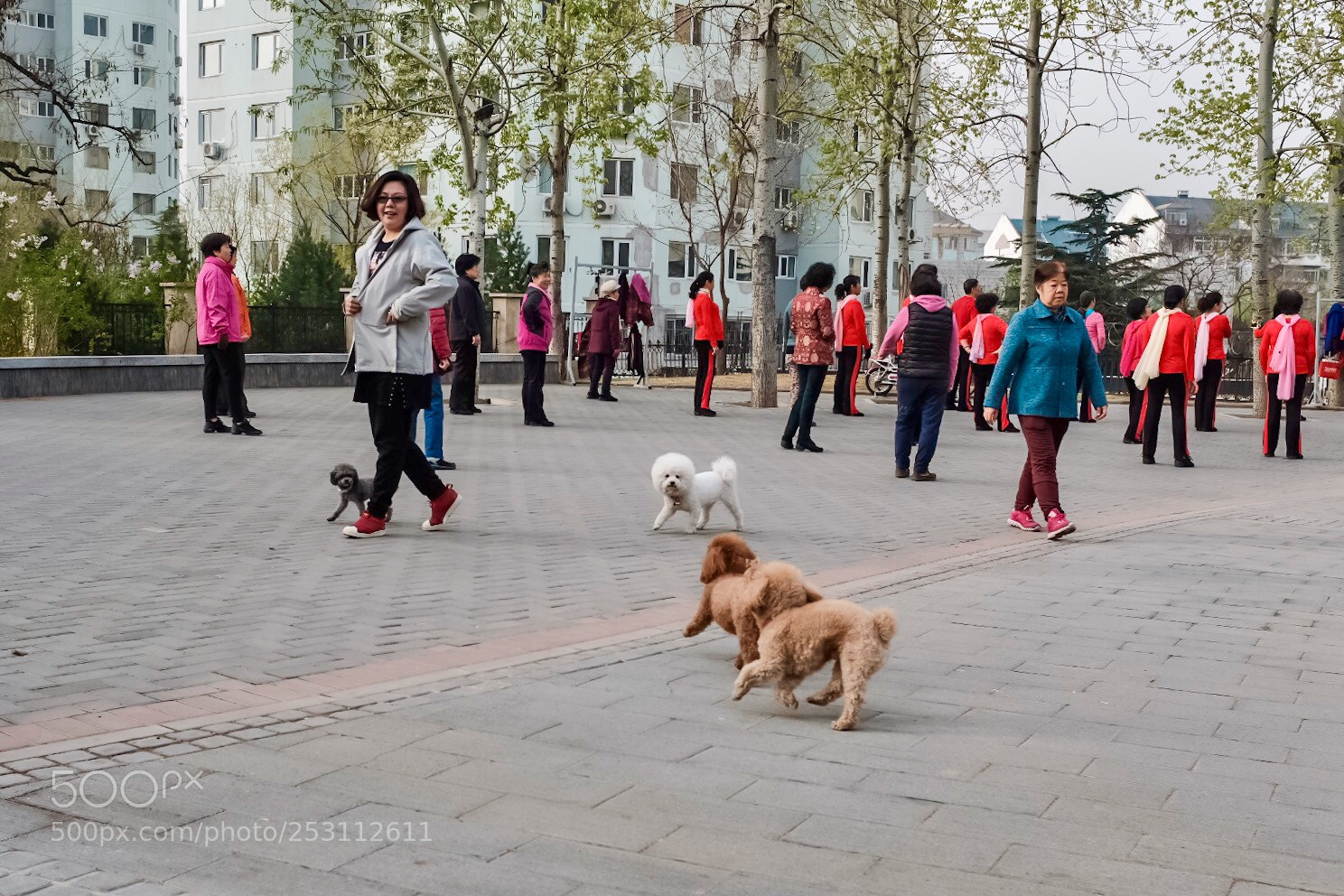Fujifilm X100F sample photo. Untitled photography