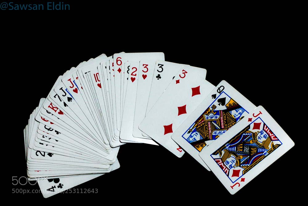 Canon EOS 70D sample photo. Big game photography