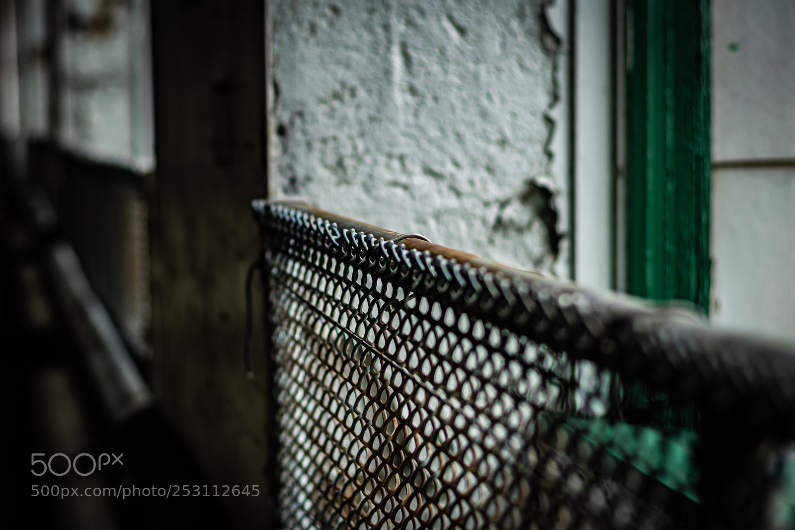 Nikon D500 sample photo. Fence  photography