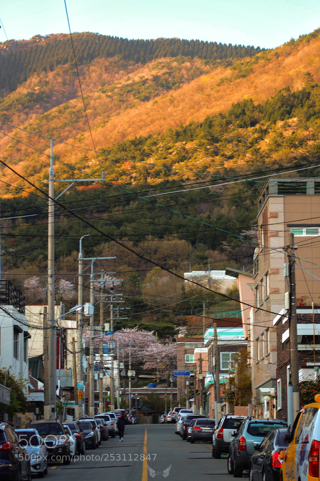 Canon EOS 700D (EOS Rebel T5i / EOS Kiss X7i) sample photo. A korean alley photography