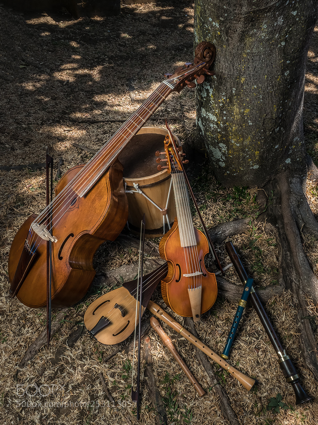 Olympus OM-D E-M1 Mark II sample photo. El descanso de los photography
