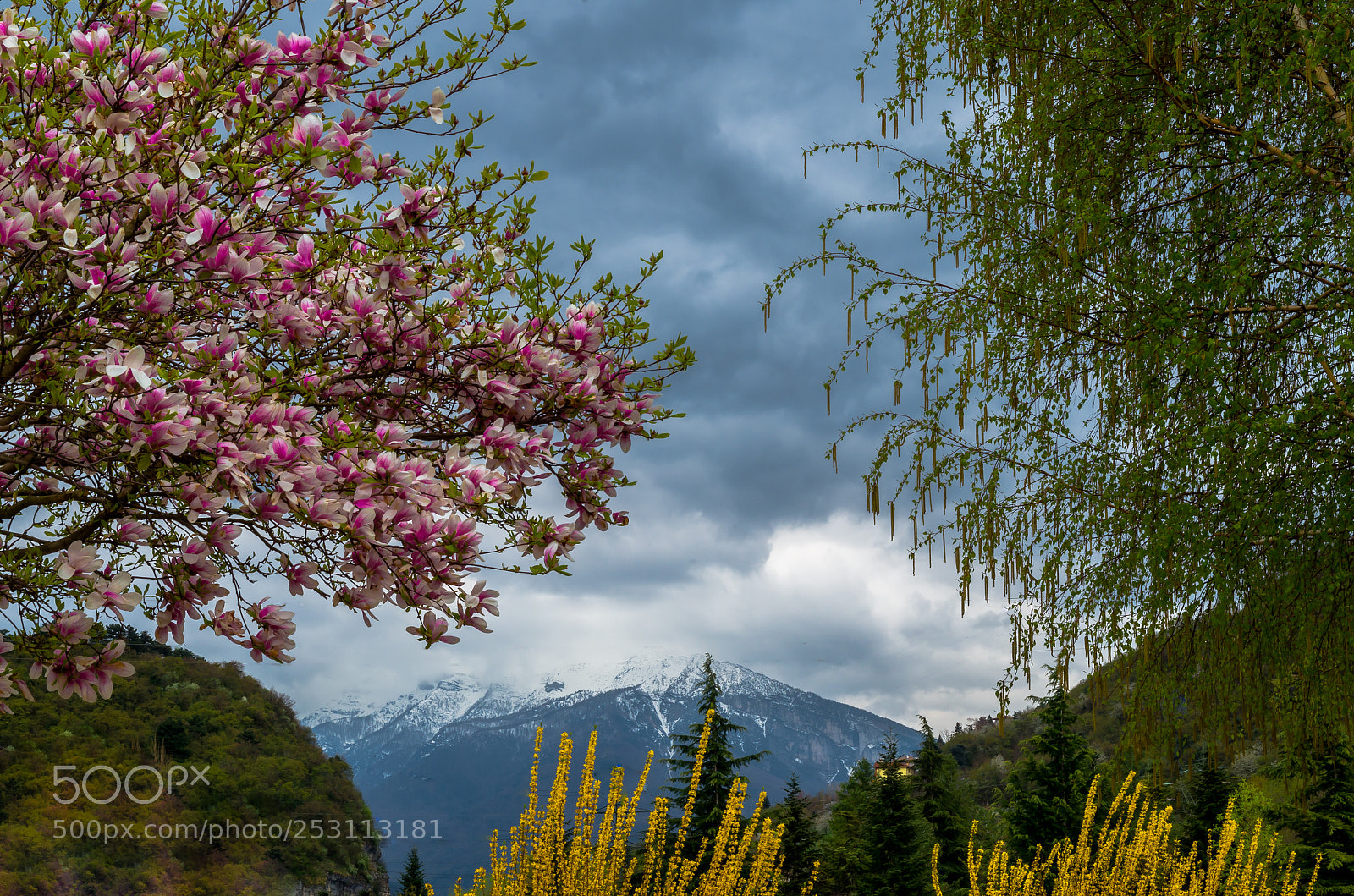 Pentax K-50 sample photo. Trento in spring photography