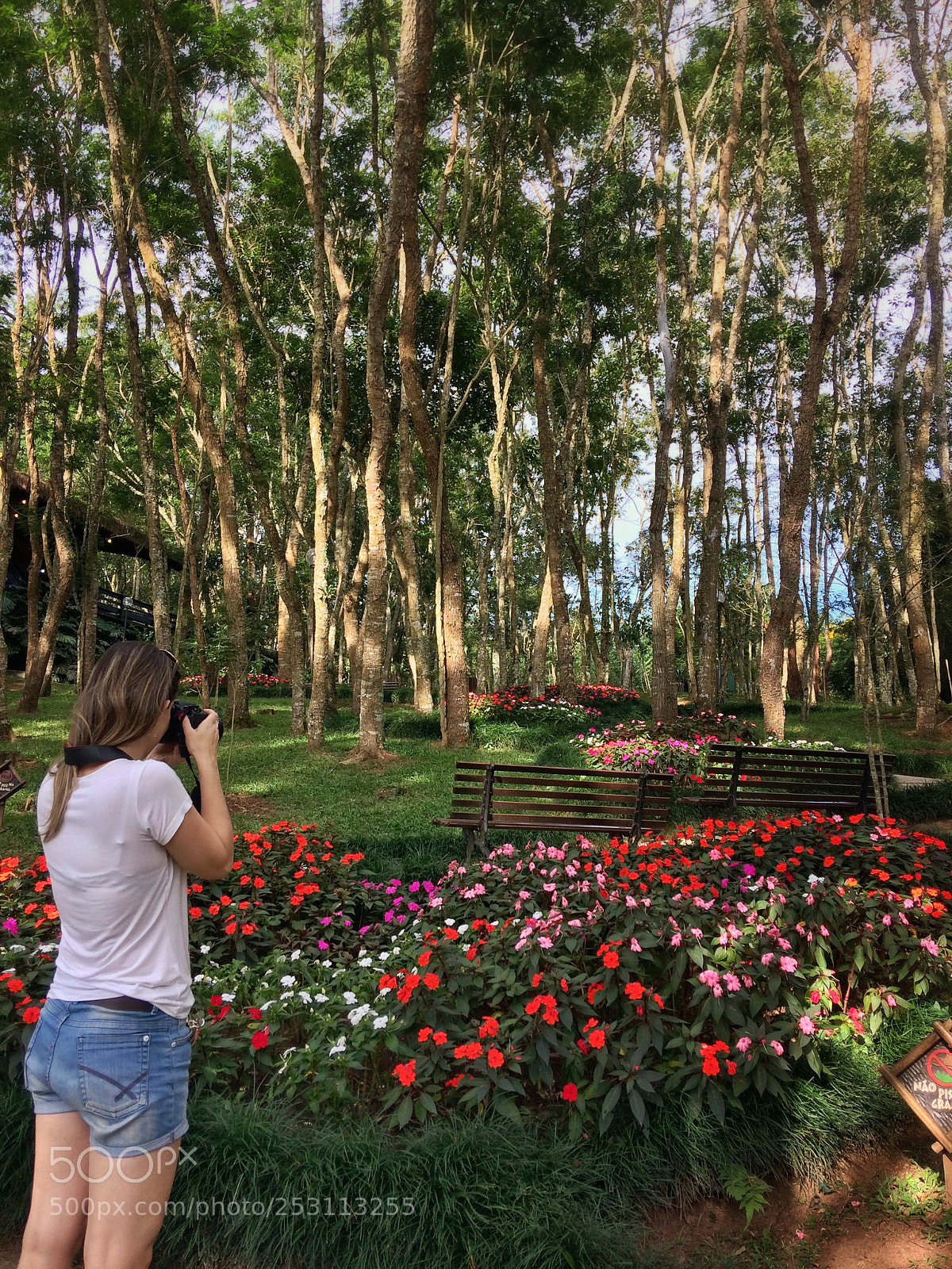 Apple iPhone 5s sample photo. You brought me colorful photography