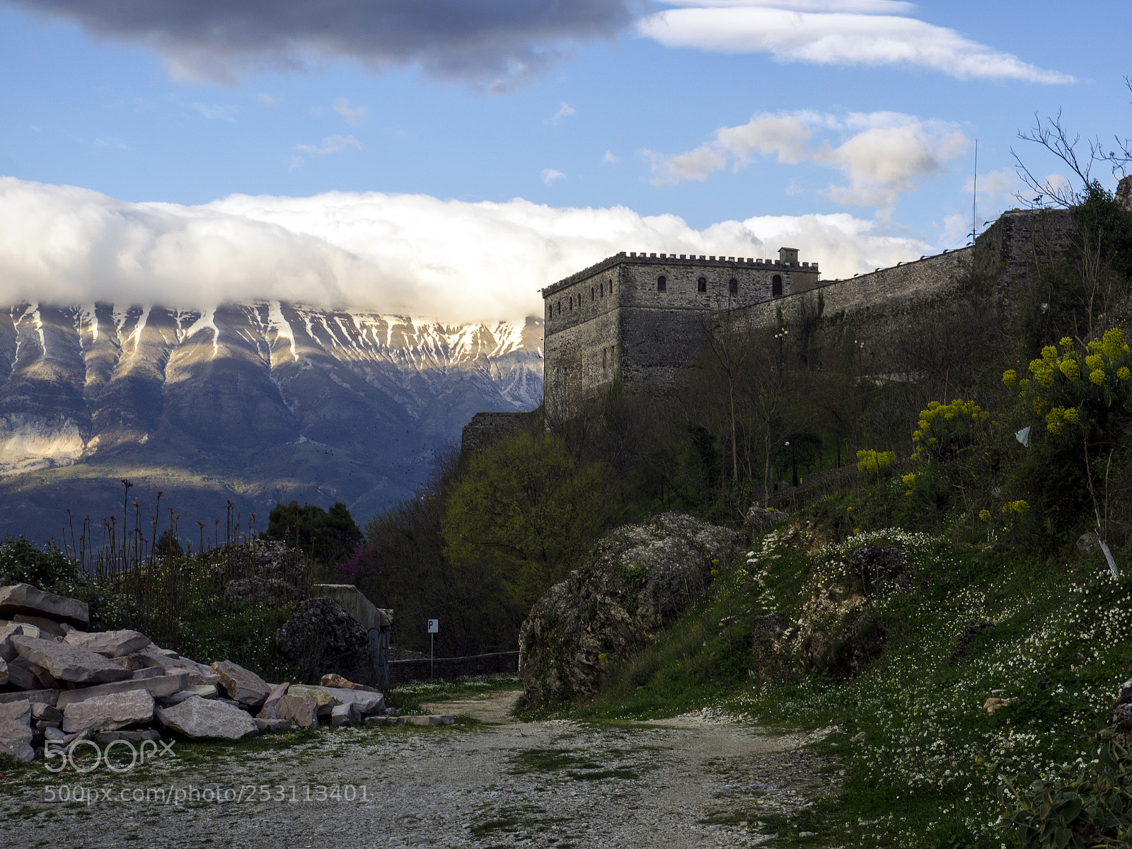 Olympus OM-D E-M1 sample photo. View of the castle photography