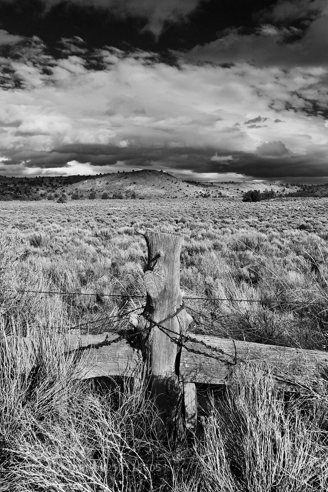 Canon EOS 7D Mark II sample photo. Rural fencepost in black photography