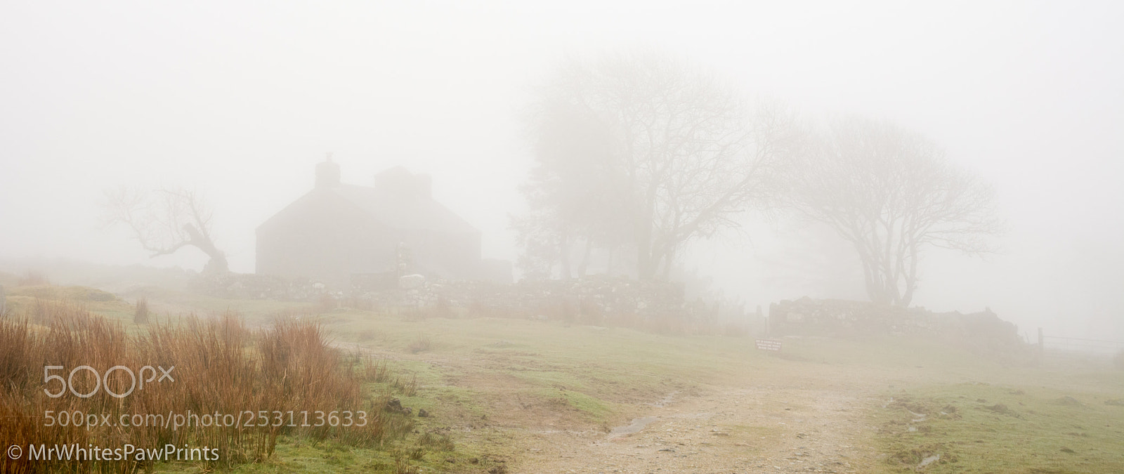 Nikon D7100 sample photo. Ditsworthy in the mist photography