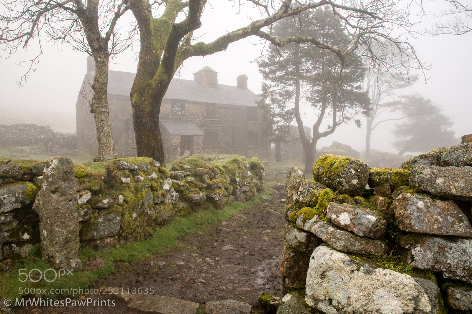 Nikon D7100 sample photo. Ditsworthy in the mist photography