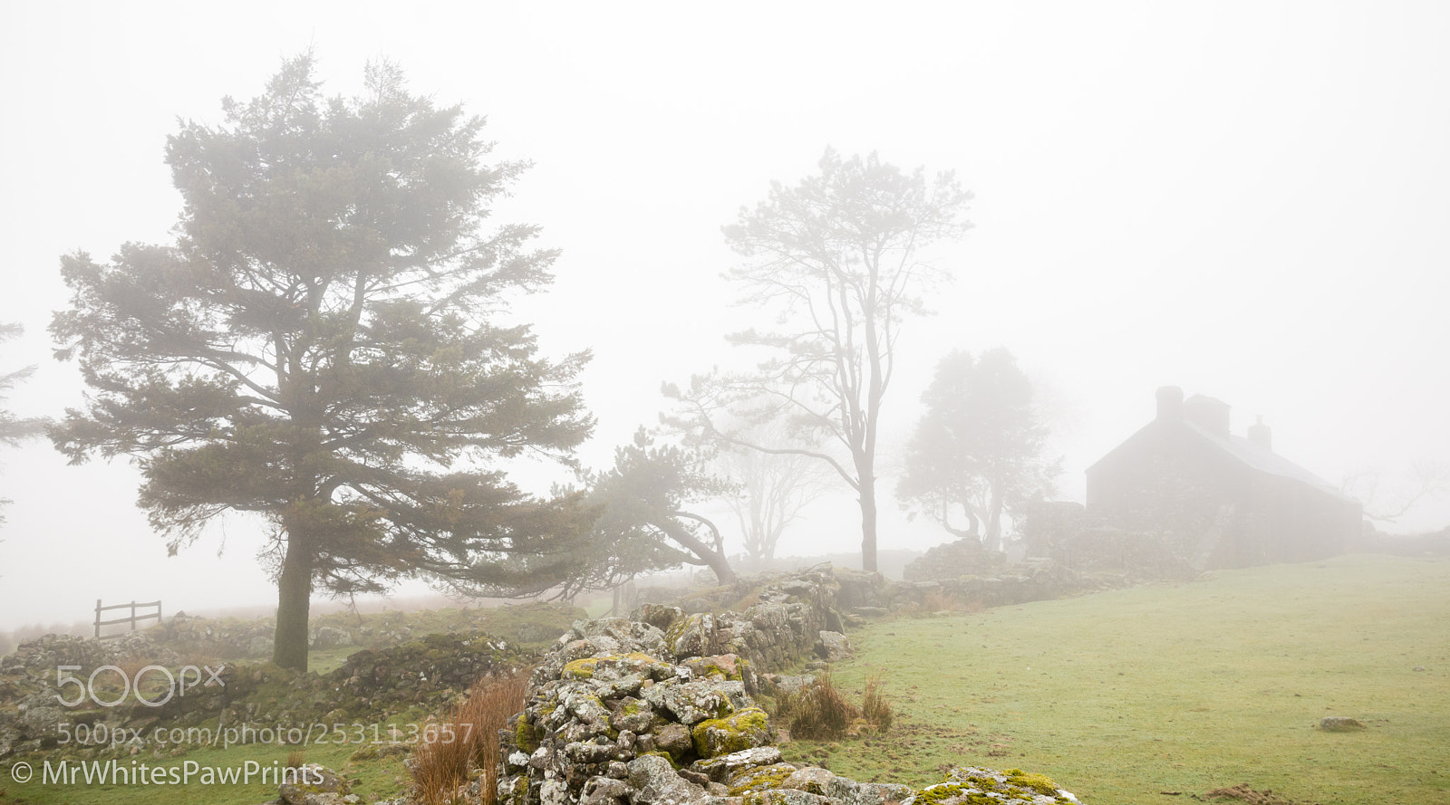 Nikon D7100 sample photo. Ditsworthy in the mist photography