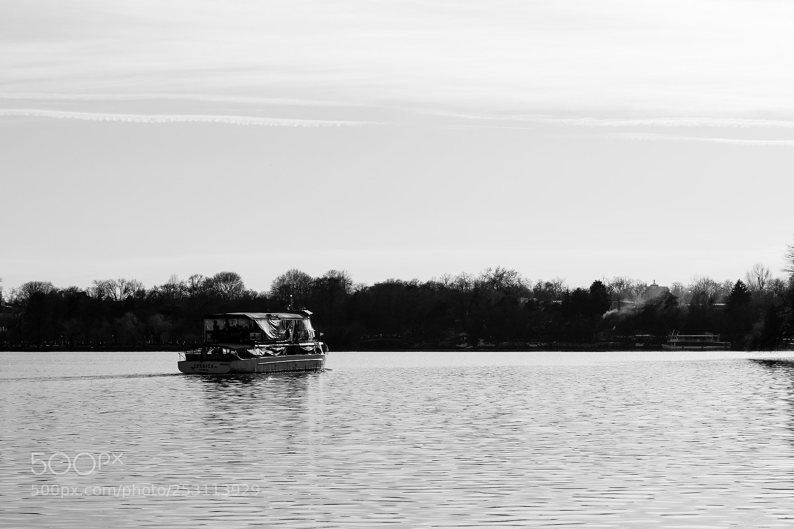 Nikon D3100 sample photo. Reflexii herastrau photography
