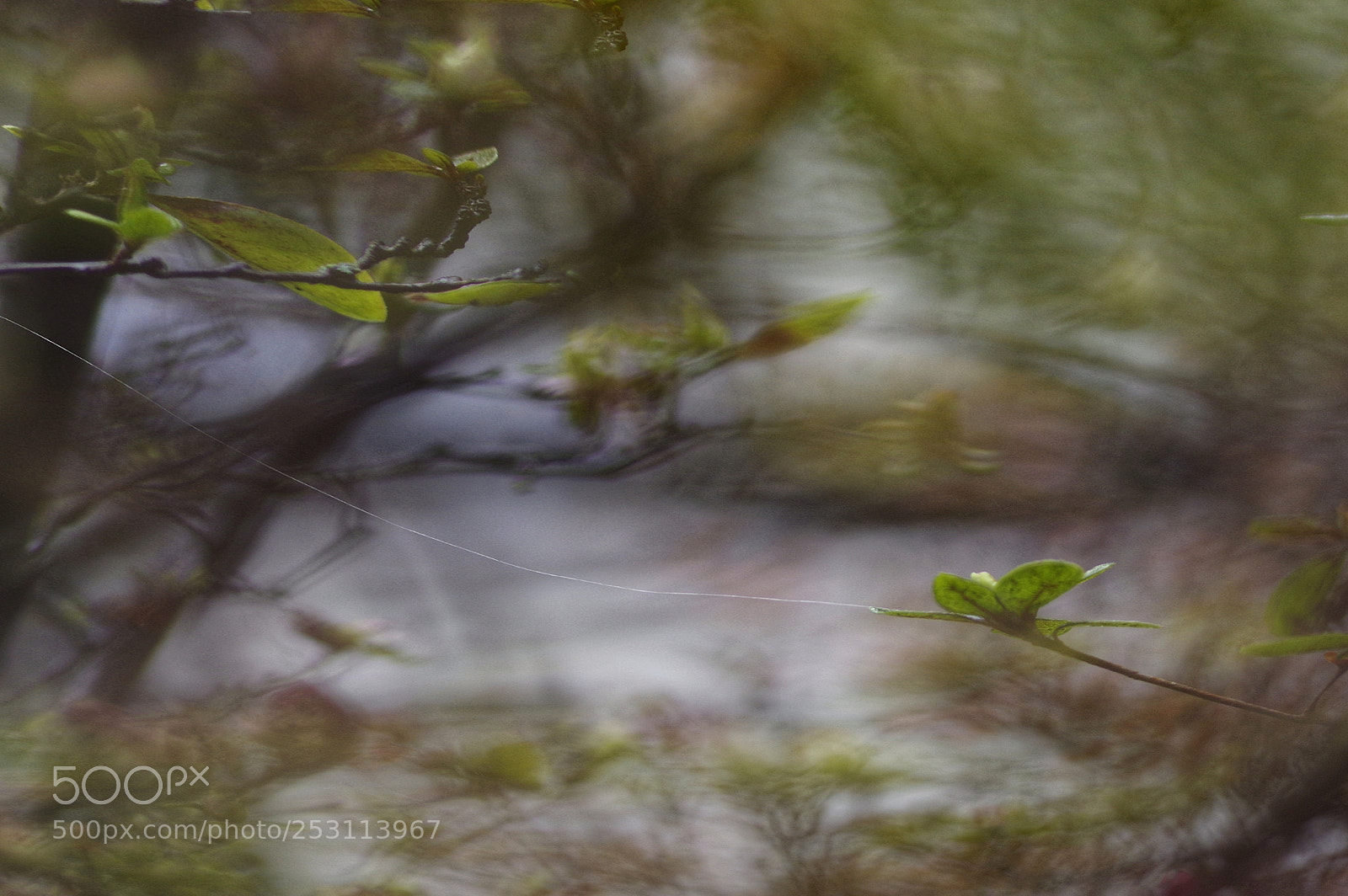 Pentax K-3 sample photo. ¥#¥_~_~_~¥#¥... photography