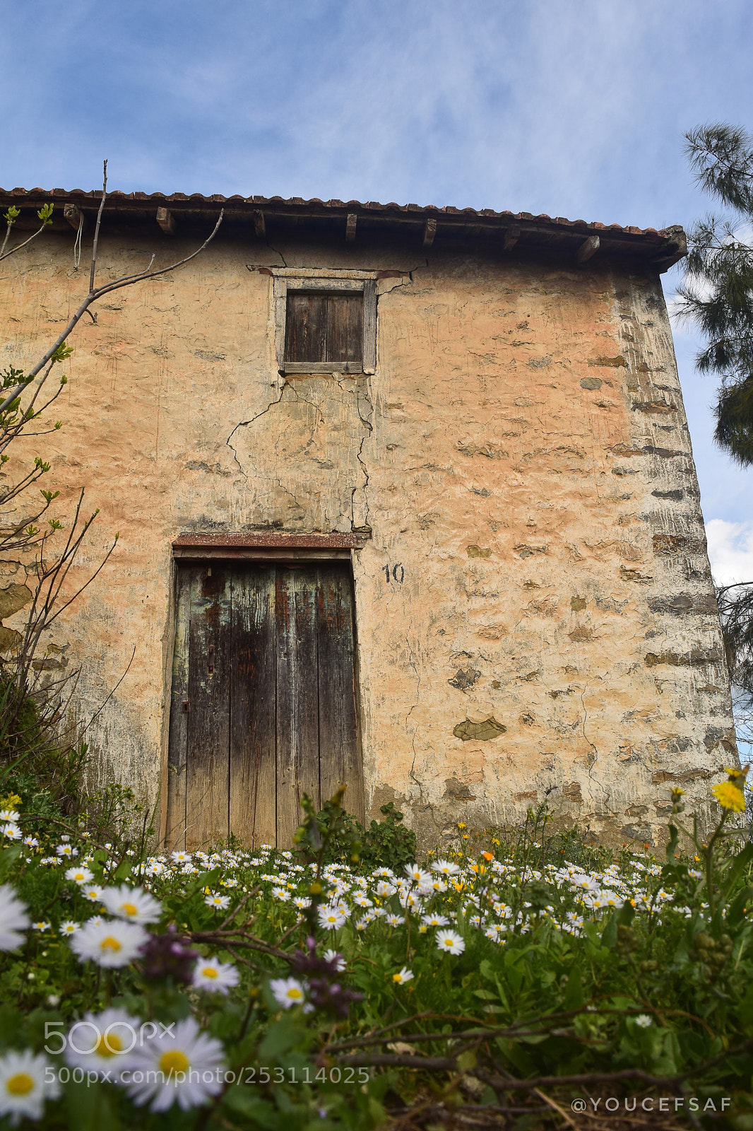 Nikon D3300 sample photo. Spring... photography