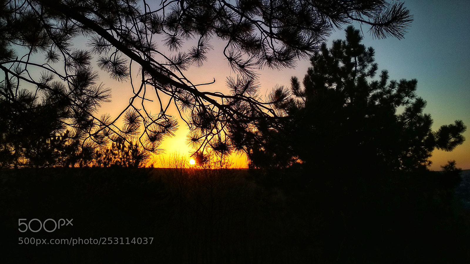 Xiaomi Redmi 4X sample photo. April sunset photography