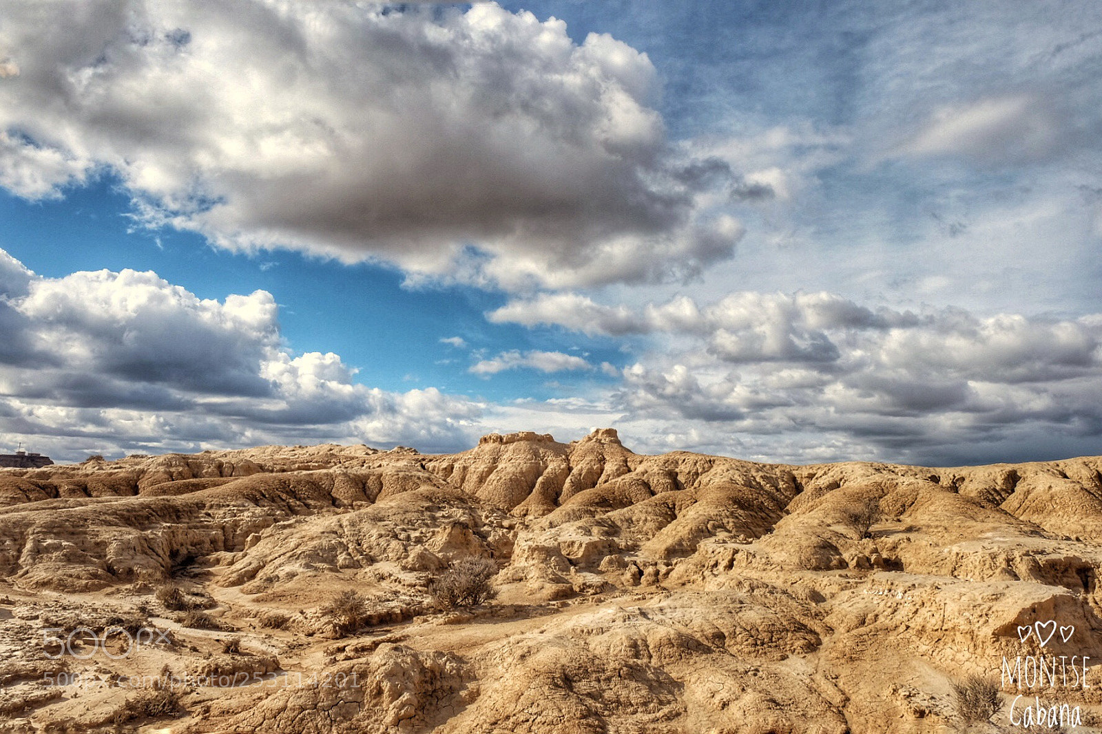 Fujifilm X-T1 sample photo. Bardenas  photography