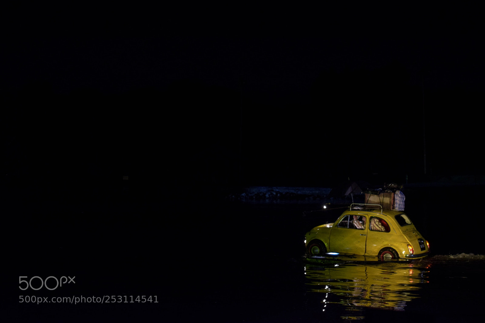 Nikon D5300 sample photo. Yellow photography
