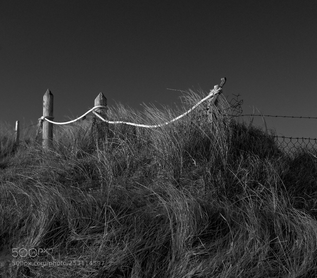 Nikon D610 sample photo. Untitled photography