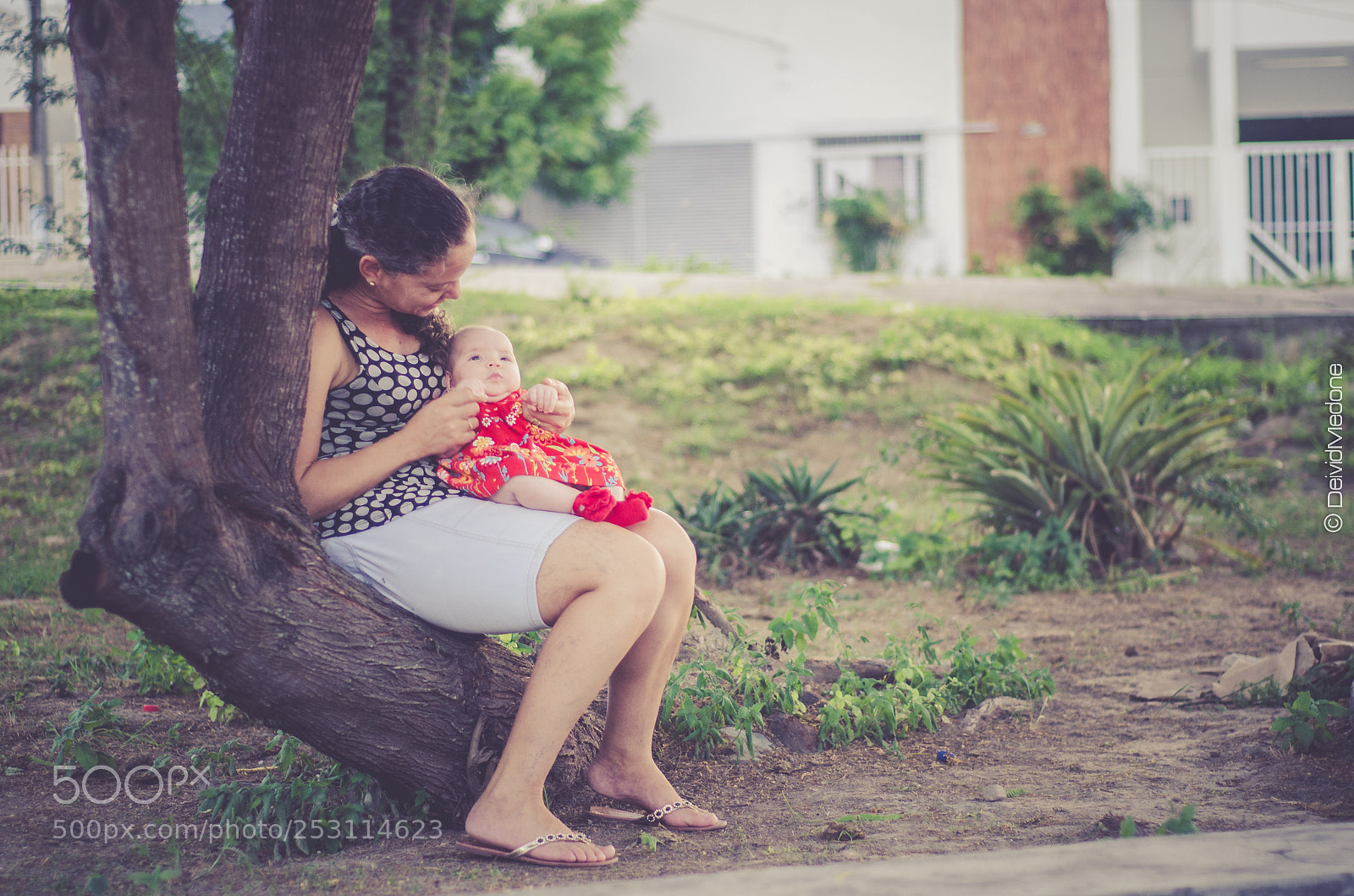 Nikon D7000 sample photo. Untitled photography