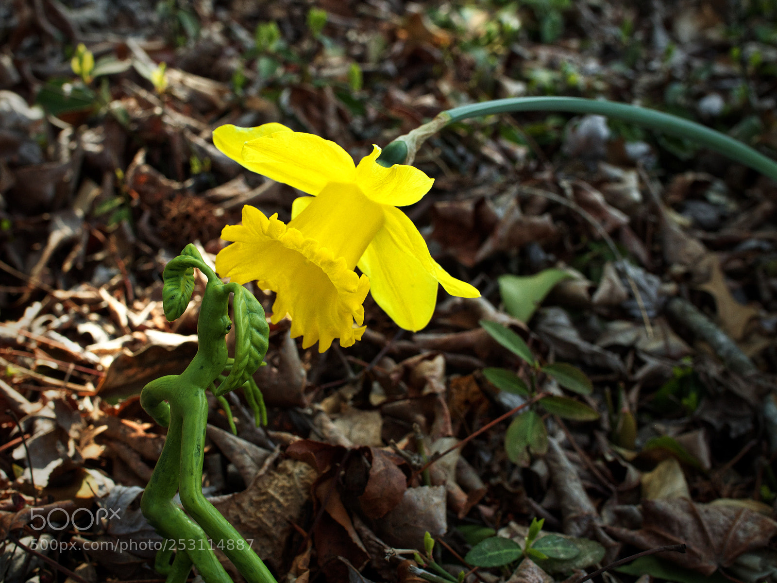 Olympus PEN E-PL5 sample photo. Nature meet nature photography
