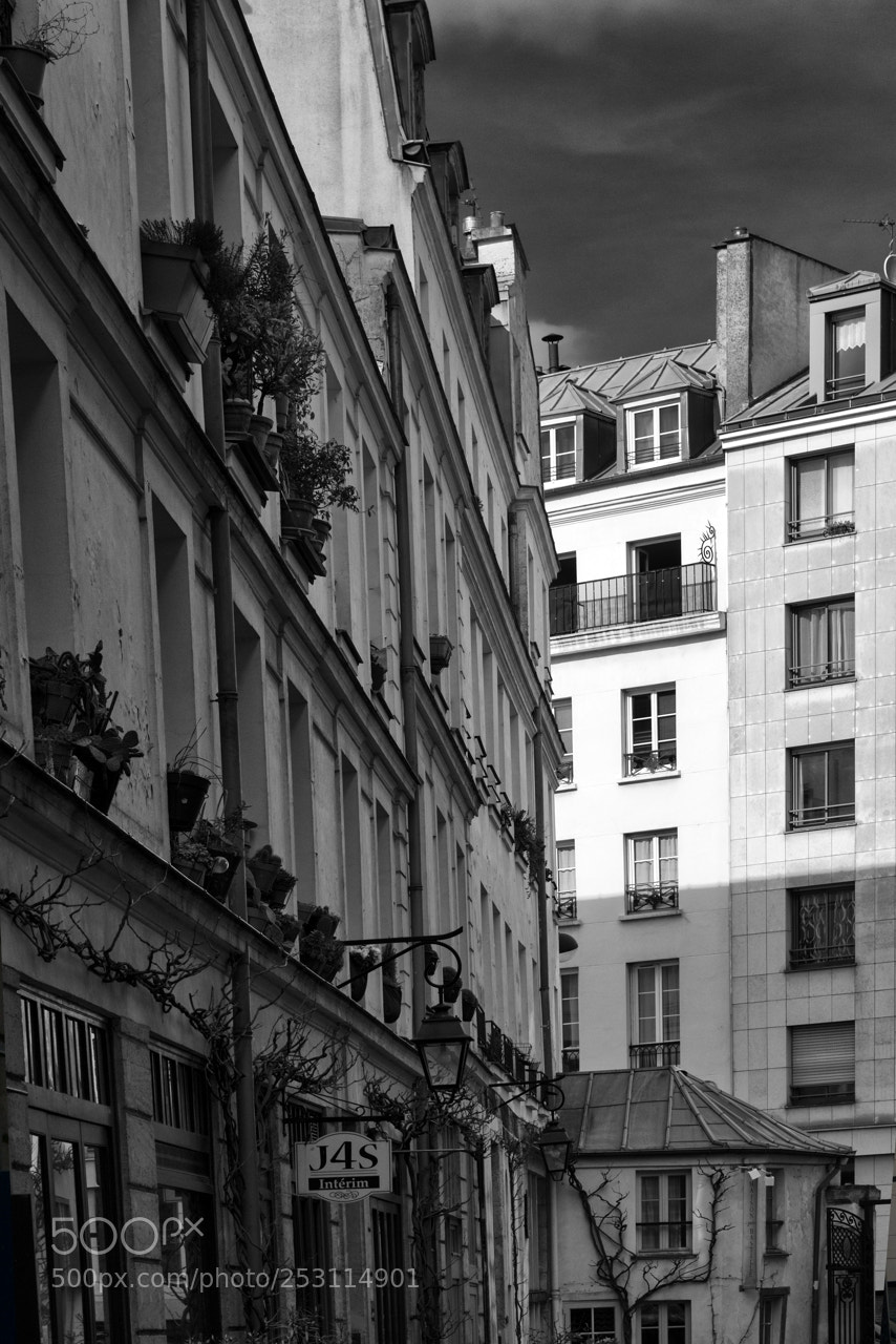 Nikon D800 sample photo. Paris - cour damoye photography