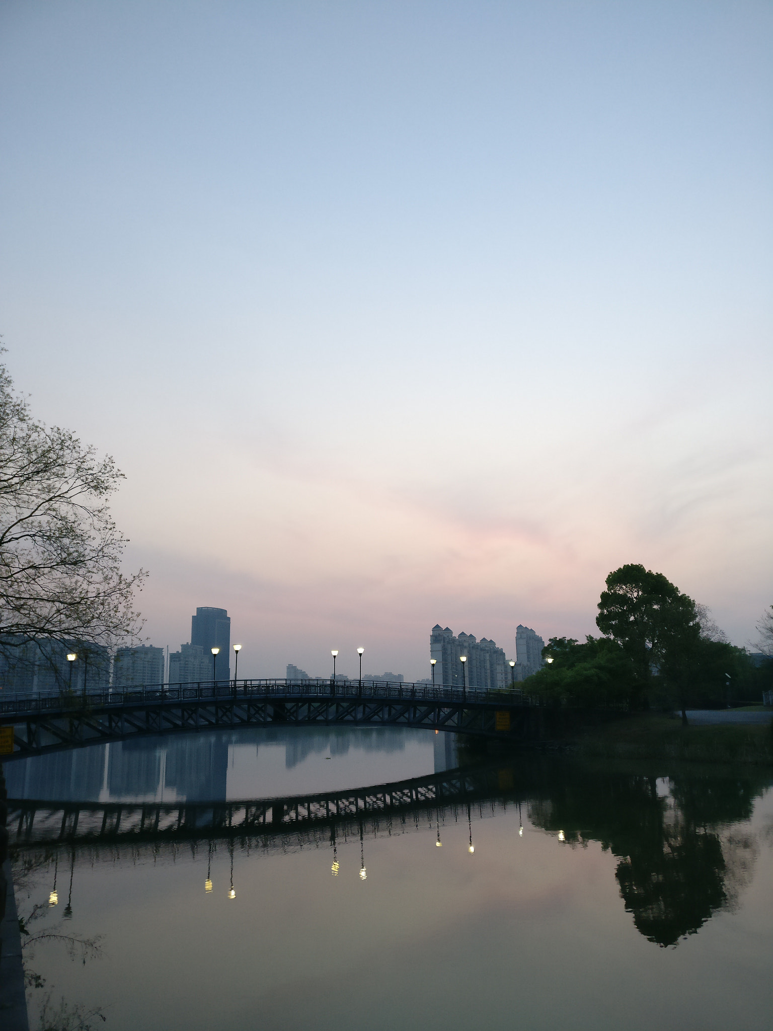 OnePlus A3010 sample photo