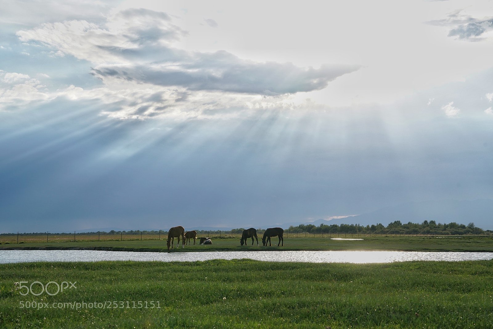 Sony a7R II sample photo. Western of china photography