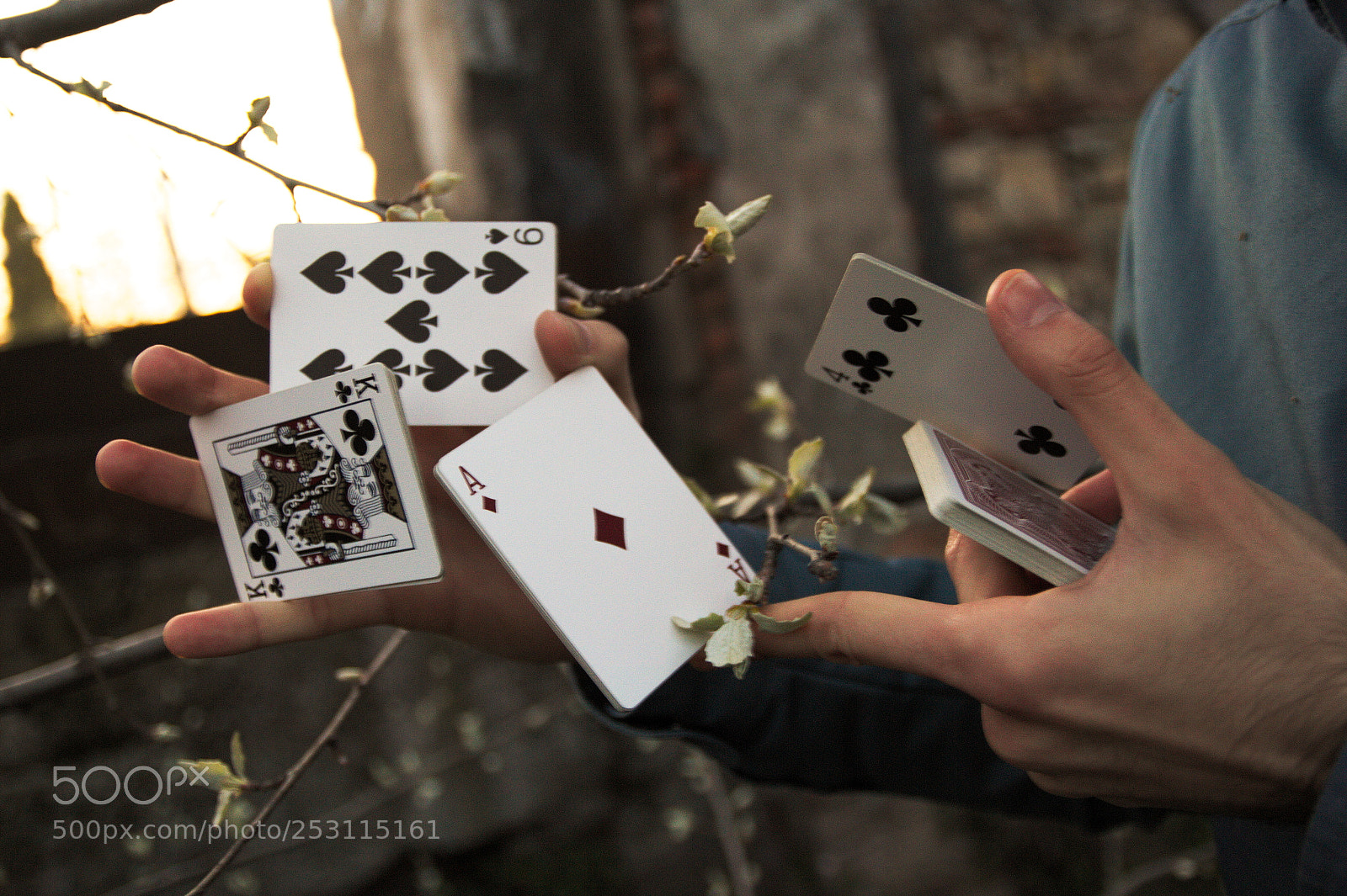 Canon EOS 60D sample photo. Sybil photography