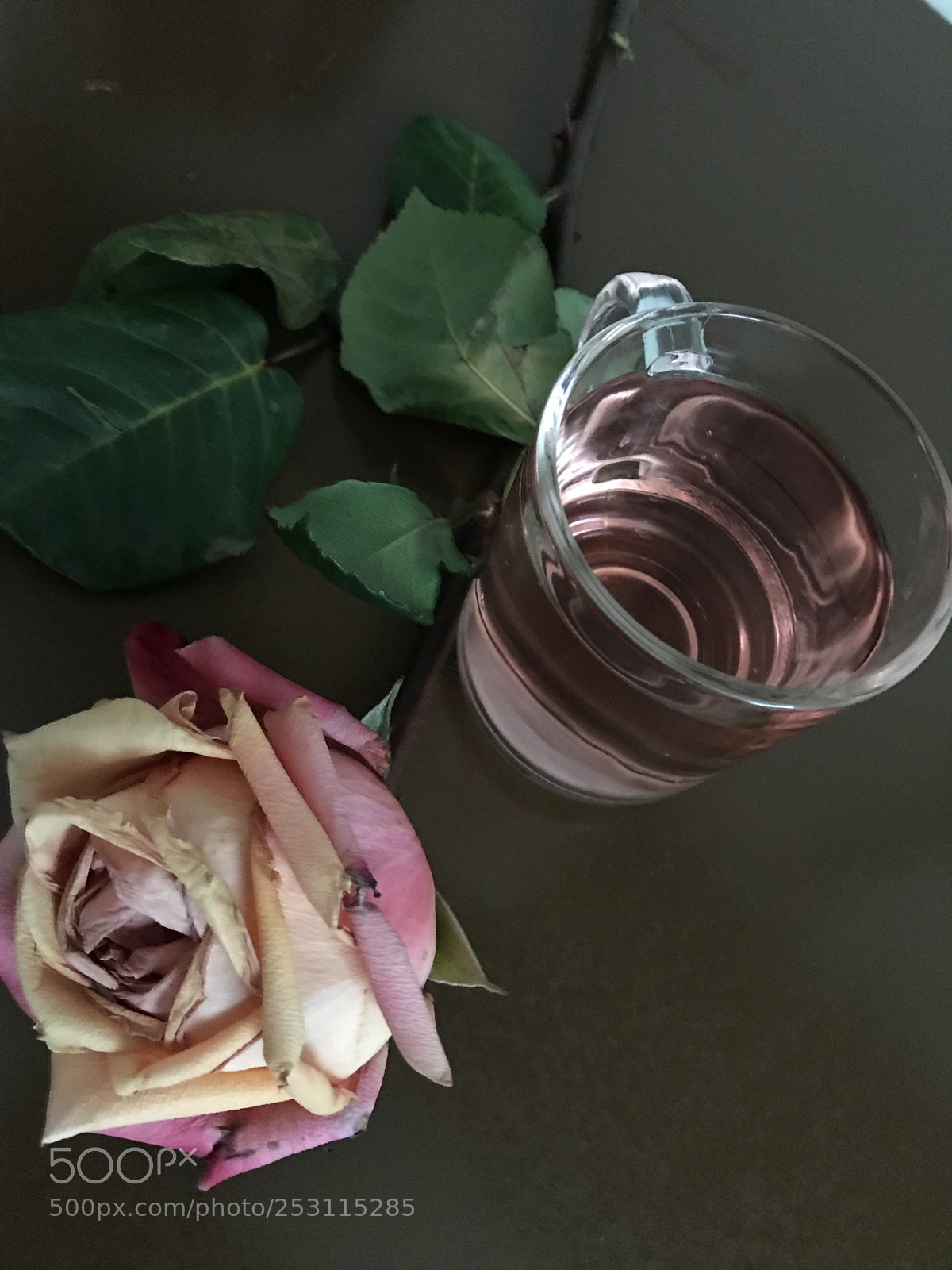 Apple iPhone 7 Plus sample photo. Untitled photography