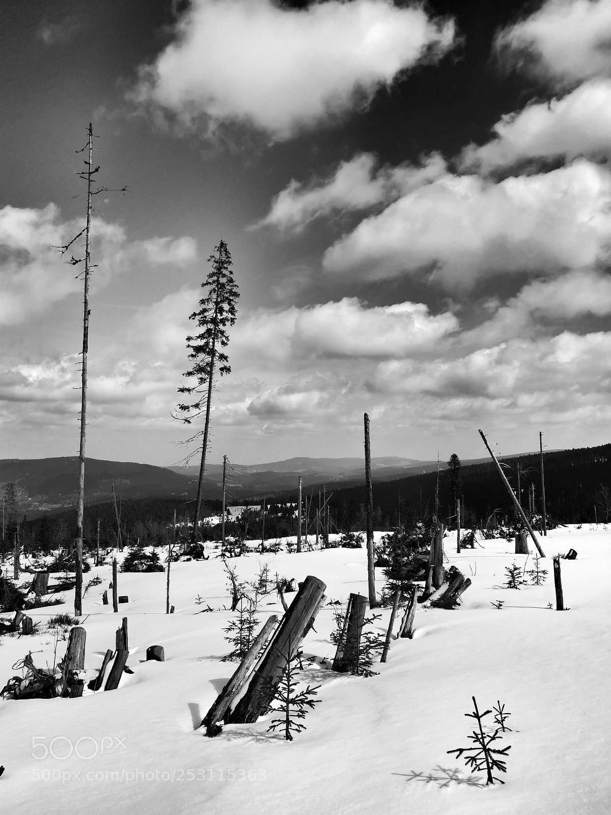 HUAWEI P20 sample photo. Šumava photography