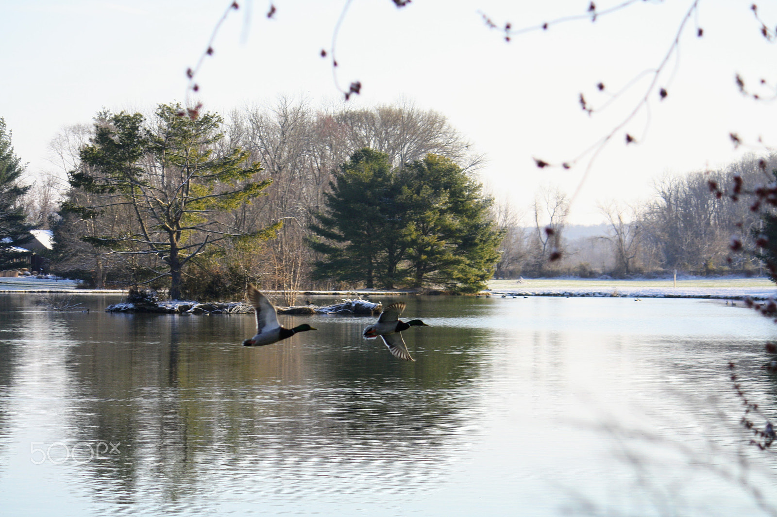 Canon EF-S 55-250mm F4-5.6 IS sample photo. Img photography