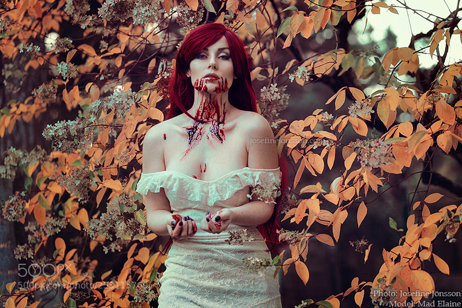 Canon EOS 5D Mark II sample photo. Blood and lace photography