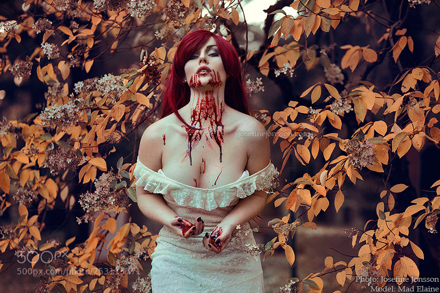 Canon EOS 5D Mark II sample photo. Blood and lace photography