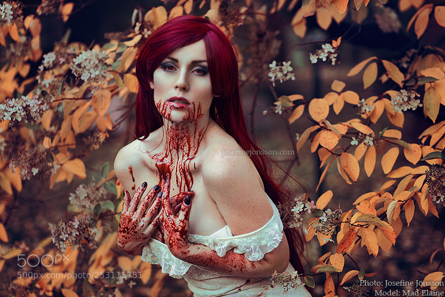 Canon EOS 5D Mark II sample photo. Blood and lace photography