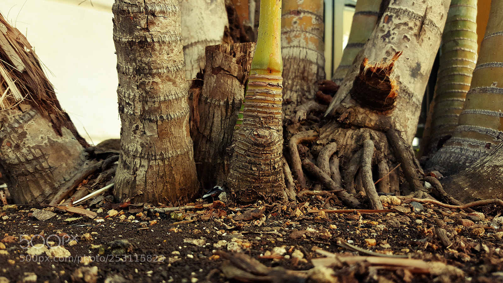 Samsung Galaxy S6 sample photo. Culebra-2 photography