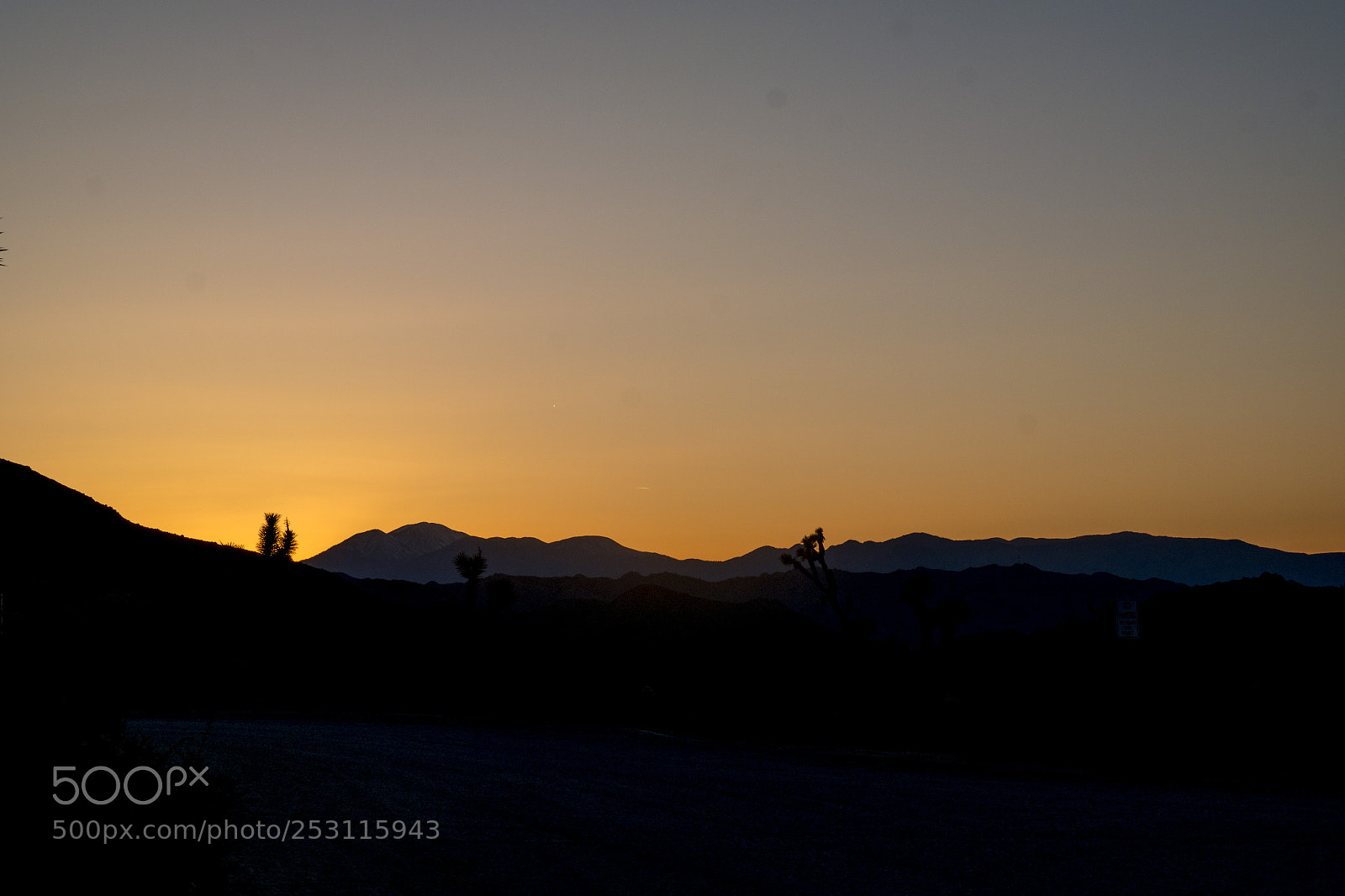 Samsung NX300 sample photo. Jtree pastel sunset photography