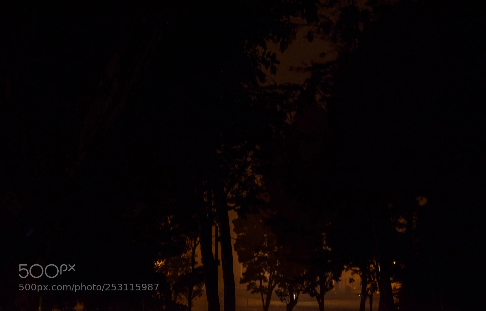 Nikon D5300 sample photo. A fine a day photography