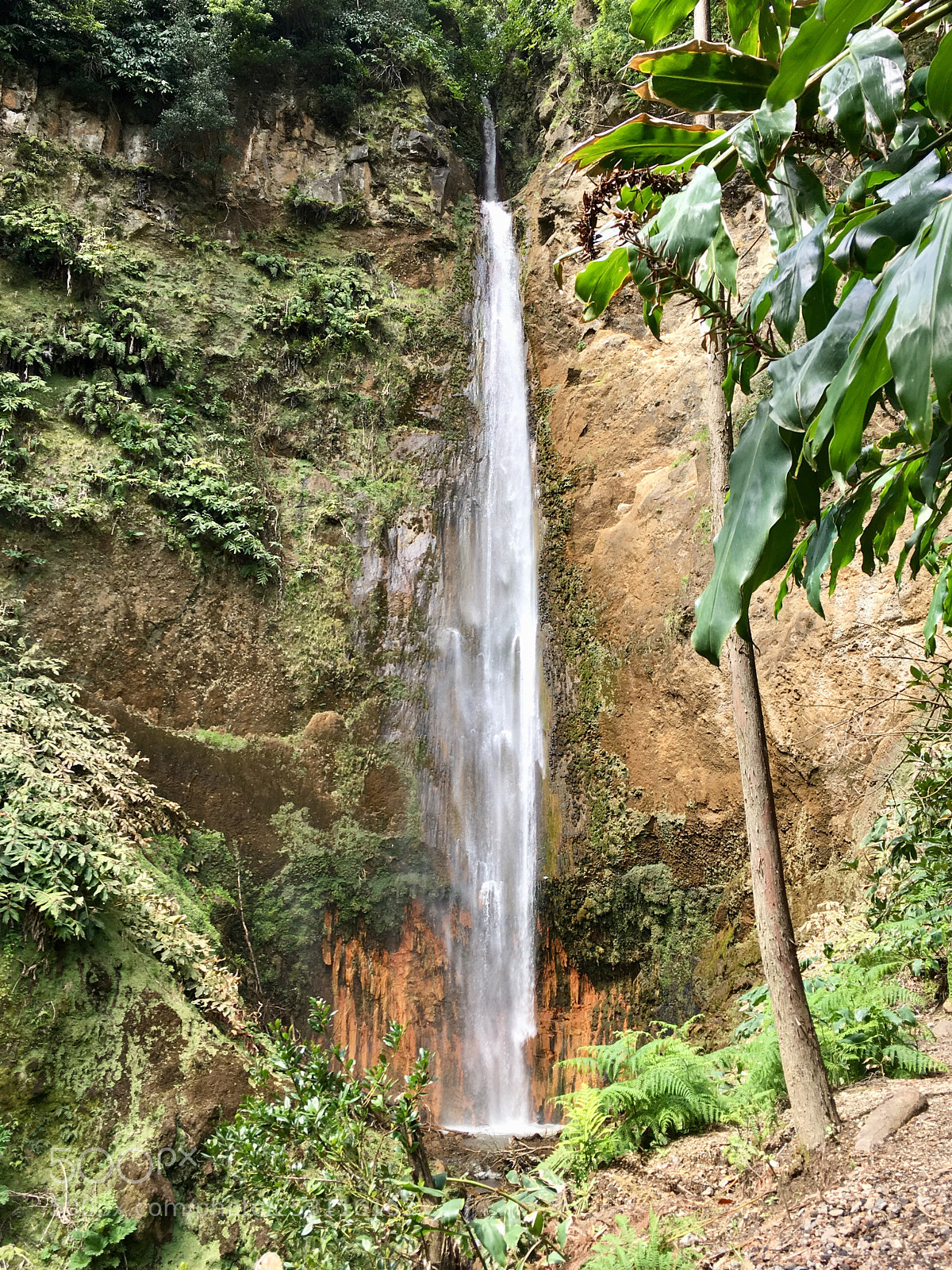 Apple iPhone SE sample photo. Waterfall photography